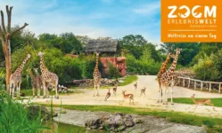 1 Tagesticket für die ZOOM Erlebniswelt (gültig vom 01.11.-30.11.2023) nur 8,90 Euro