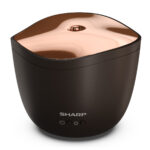 Sharp Ultraschall Aroma Zerstäuber nur 17,95 Euro