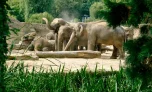 Tageskarte für 1 Person in den Kölner Zoo und das Aquarium (35% sparen)