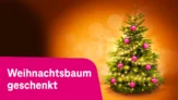 Kostenloser Weihnachtsbaum für Telekom Kunden (Abholung im OBI)